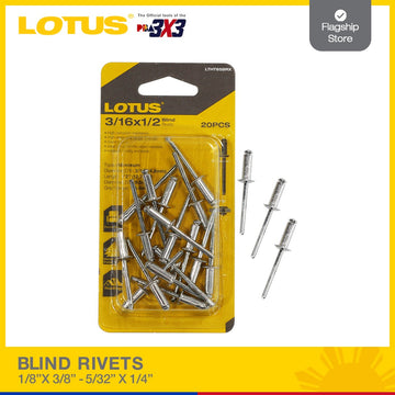 LOTUS BLIND RIVETS 1/8X1/4 #423 | LTHT423BRX