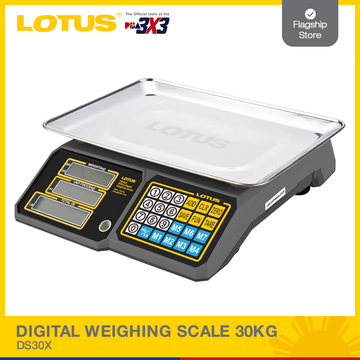 Lotus Door Closer W/Hold-Open EN2 45KG DC45